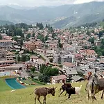 Il Giardino Dei Larici *